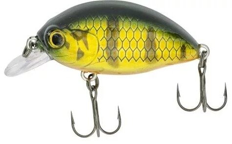 QUANTUM | QCRANCK | FAT MINNOW SR | 6.5 cm - 10 gram | Floating | Hot Perch